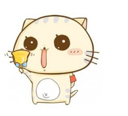 恋轩仔