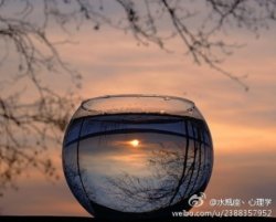 紫色玄冰