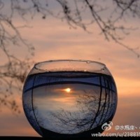 紫色玄冰