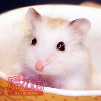 黑泡泡NANA