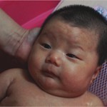 霸王龙vs臭猪猪