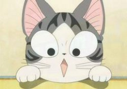 lolisue