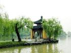 缘已尽