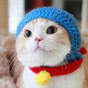 雪血1224