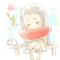 面码