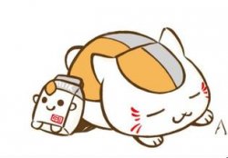 bingdongd11