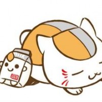 bingdongd11