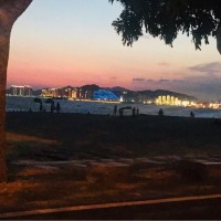 元宝旺旺