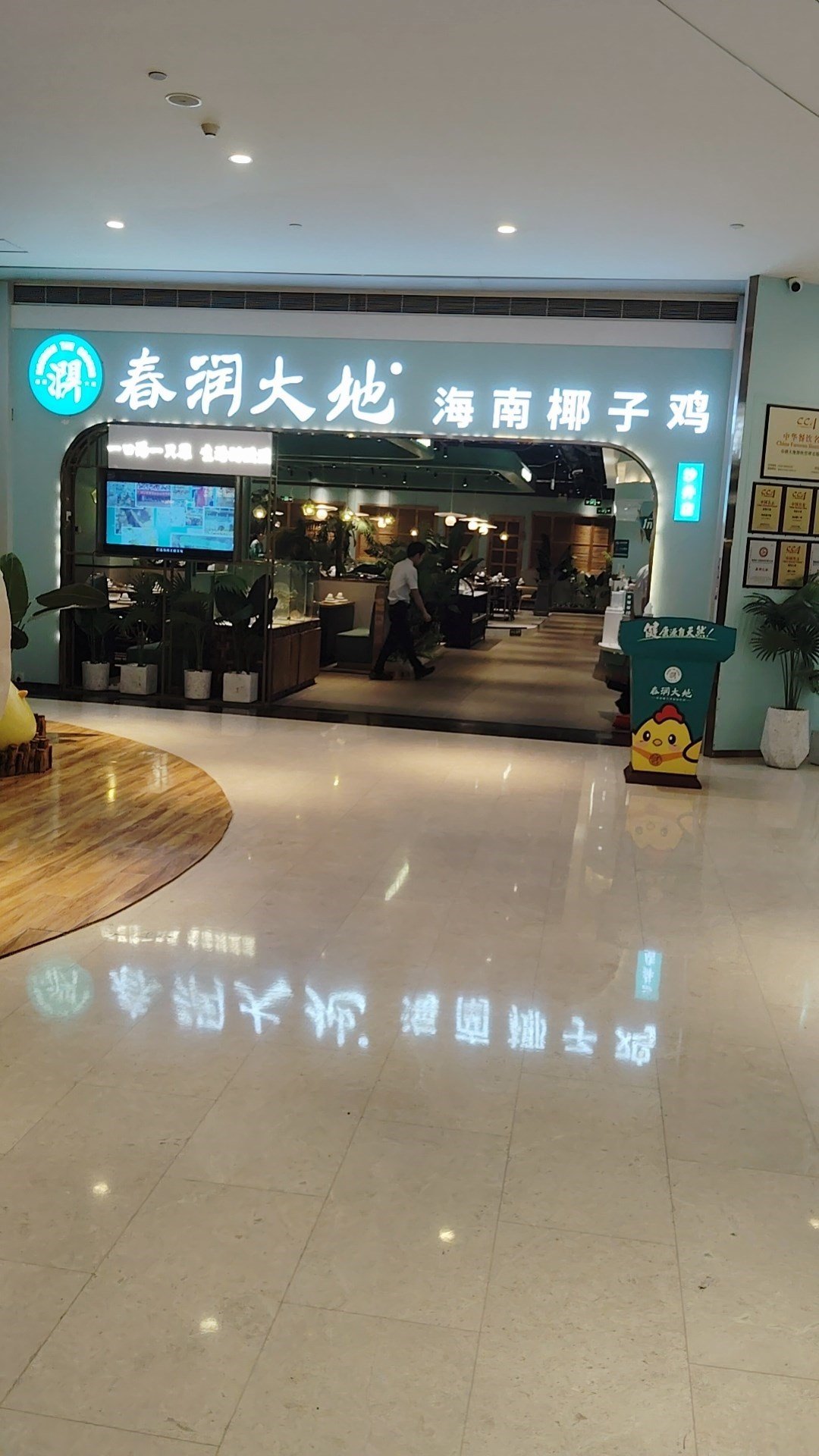 春潤大地海南椰子雞 (沙井京基百納廣場)