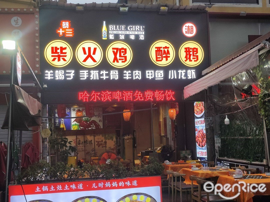 蔡十三柴火雞醉鵝 (新湖路)