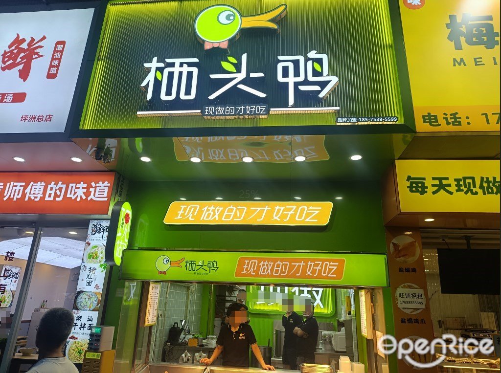 棲頭鴨 (輕鐵花園）