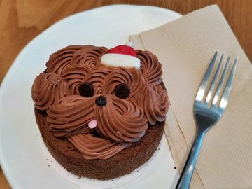 巧克力布蕾風味蛋糕