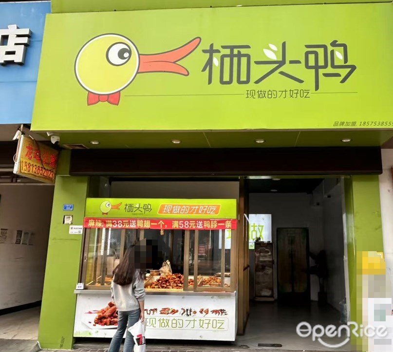 棲頭鴨 (龍峰大道)