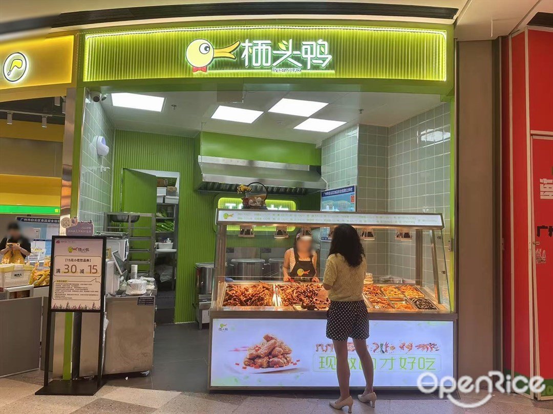 棲頭鴨 (白云湖金鉑天地)