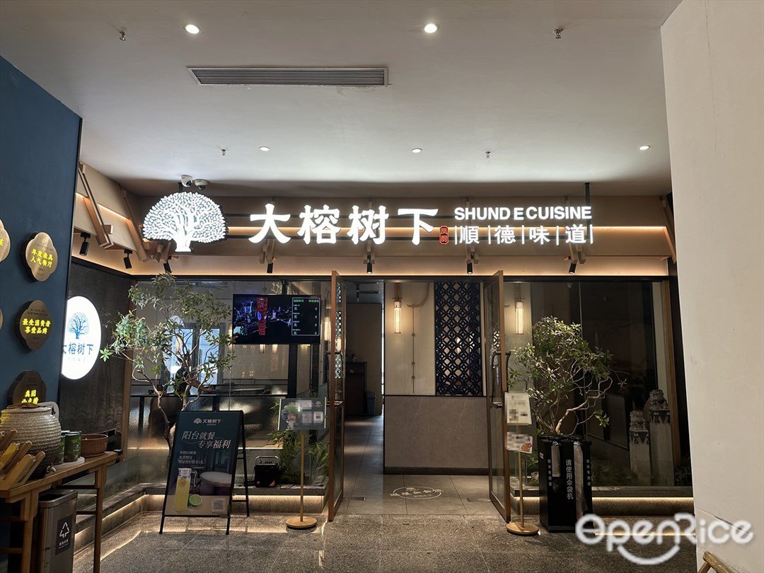 大榕樹下 (富華里)